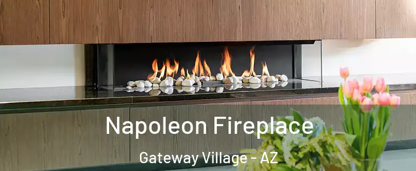 Napoleon Fireplace Gateway Village - AZ