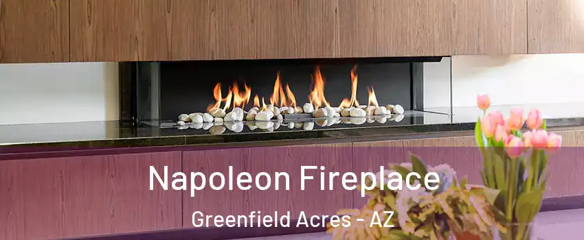 Napoleon Fireplace Greenfield Acres - AZ