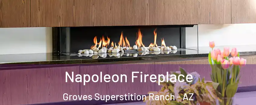 Napoleon Fireplace Groves Superstition Ranch - AZ