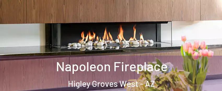 Napoleon Fireplace Higley Groves West - AZ