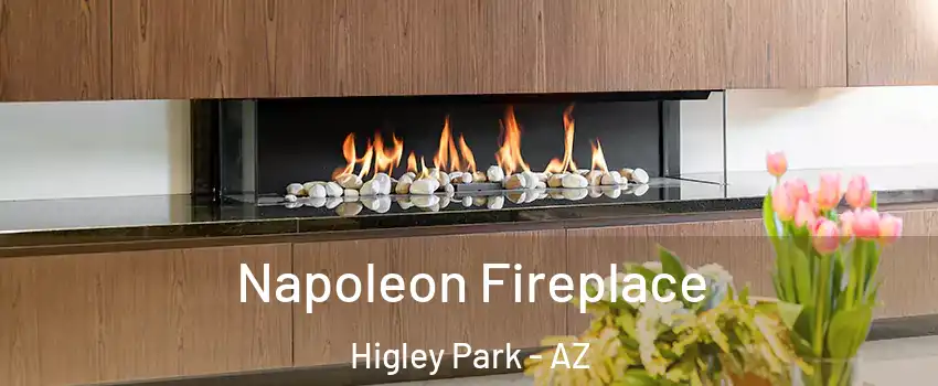 Napoleon Fireplace Higley Park - AZ