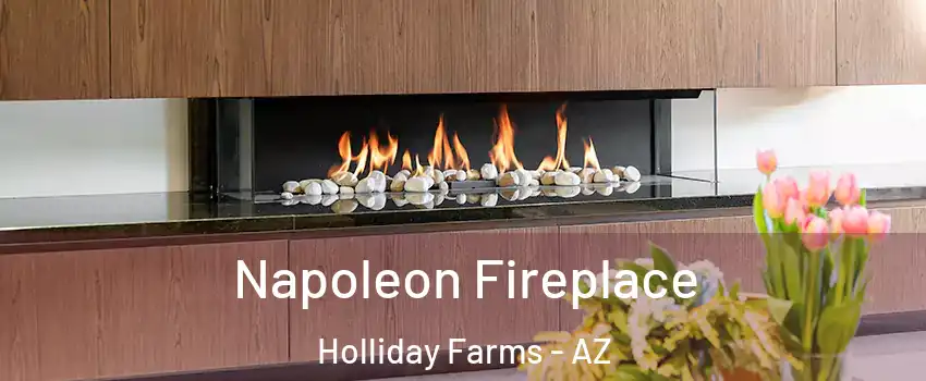 Napoleon Fireplace Holliday Farms - AZ