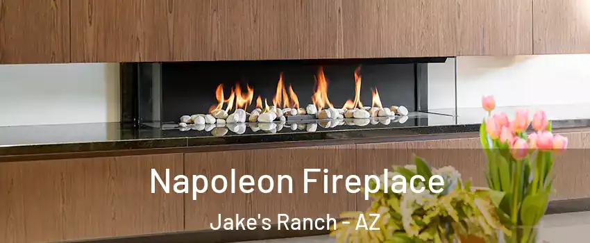Napoleon Fireplace Jake's Ranch - AZ
