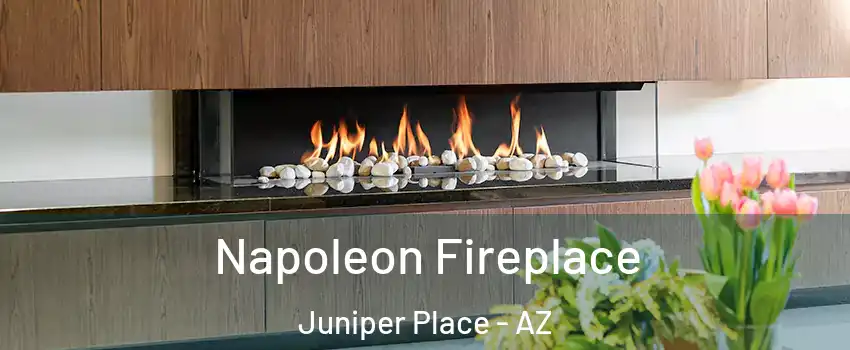 Napoleon Fireplace Juniper Place - AZ