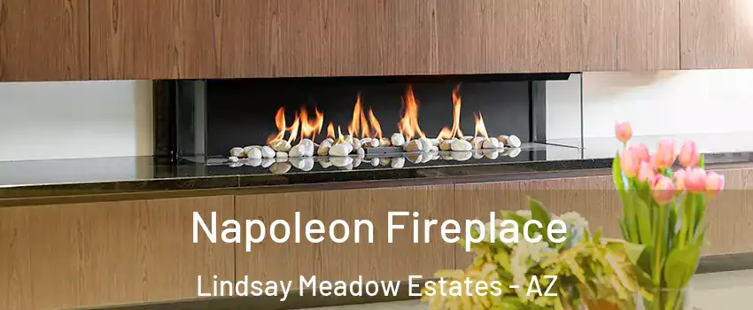 Napoleon Fireplace Lindsay Meadow Estates - AZ