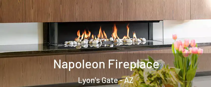 Napoleon Fireplace Lyon's Gate - AZ