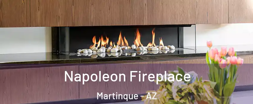 Napoleon Fireplace Martinque - AZ