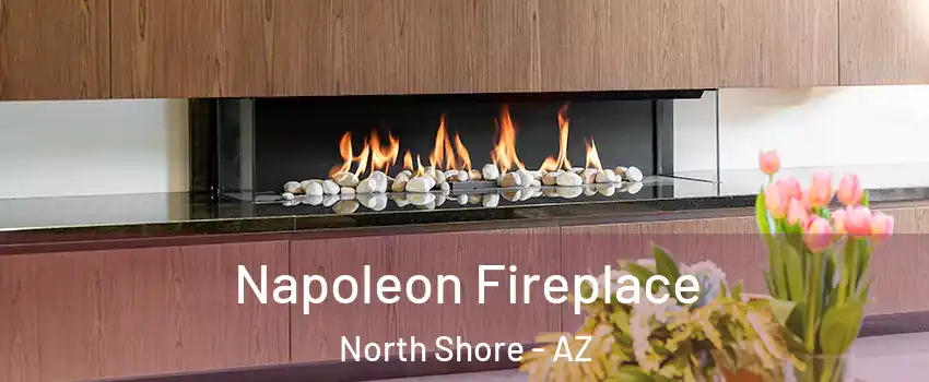 Napoleon Fireplace North Shore - AZ