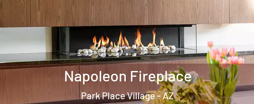 Napoleon Fireplace Park Place Village - AZ