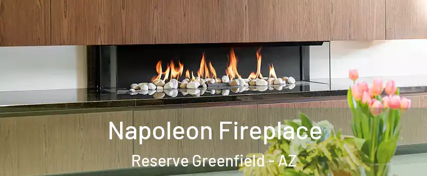 Napoleon Fireplace Reserve Greenfield - AZ