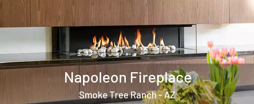 Napoleon Fireplace Smoke Tree Ranch - AZ