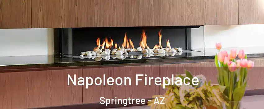 Napoleon Fireplace Springtree - AZ