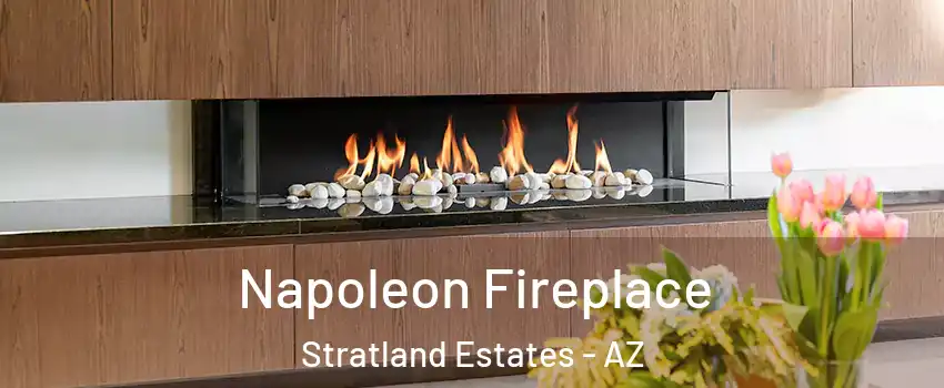 Napoleon Fireplace Stratland Estates - AZ