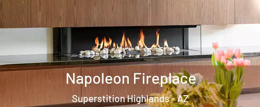 Napoleon Fireplace Superstition Highlands - AZ