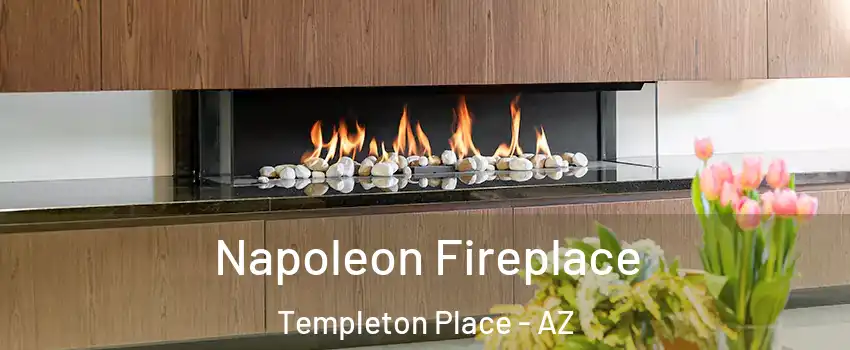 Napoleon Fireplace Templeton Place - AZ