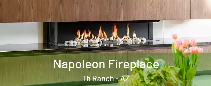 Napoleon Fireplace Th Ranch - AZ