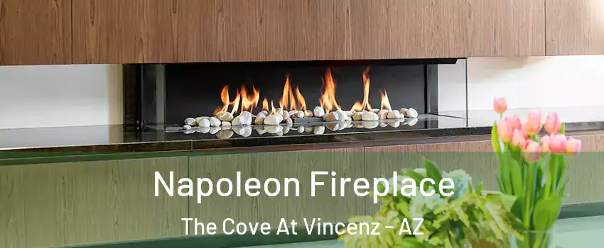 Napoleon Fireplace The Cove At Vincenz - AZ