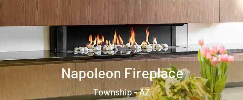 Napoleon Fireplace Township - AZ