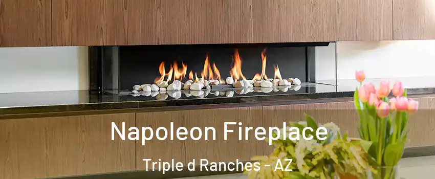 Napoleon Fireplace Triple d Ranches - AZ
