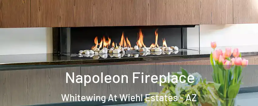 Napoleon Fireplace Whitewing At Wiehl Estates - AZ