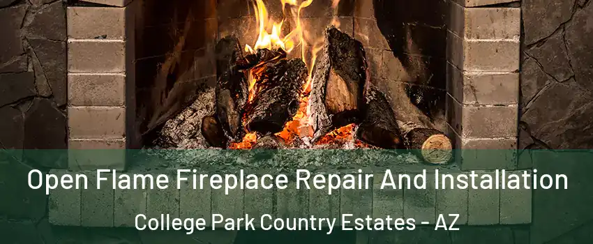 Open Flame Fireplace Repair And Installation College Park Country Estates - AZ