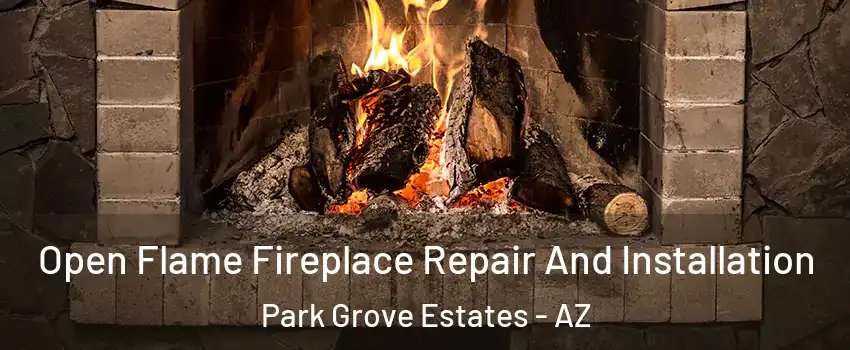 Open Flame Fireplace Repair And Installation Park Grove Estates - AZ