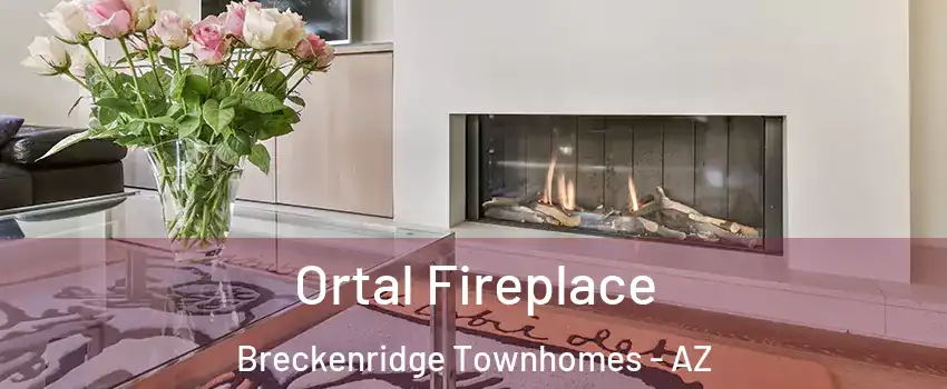Ortal Fireplace Breckenridge Townhomes - AZ