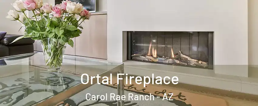 Ortal Fireplace Carol Rae Ranch - AZ