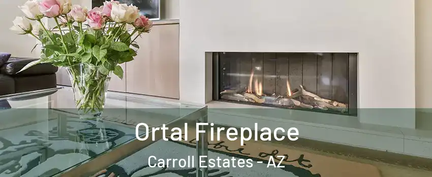Ortal Fireplace Carroll Estates - AZ