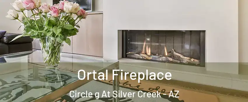 Ortal Fireplace Circle g At Silver Creek - AZ