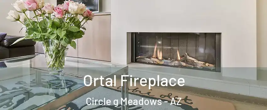 Ortal Fireplace Circle g Meadows - AZ
