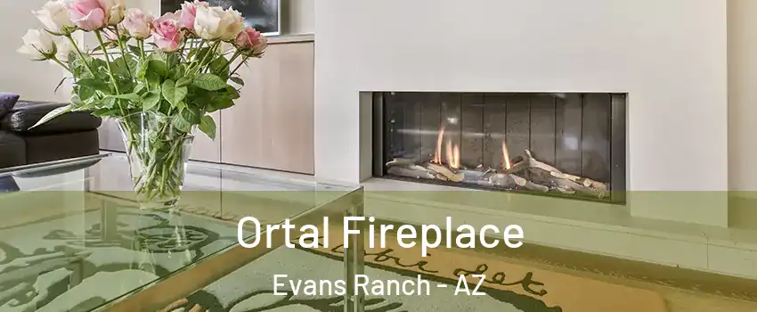 Ortal Fireplace Evans Ranch - AZ