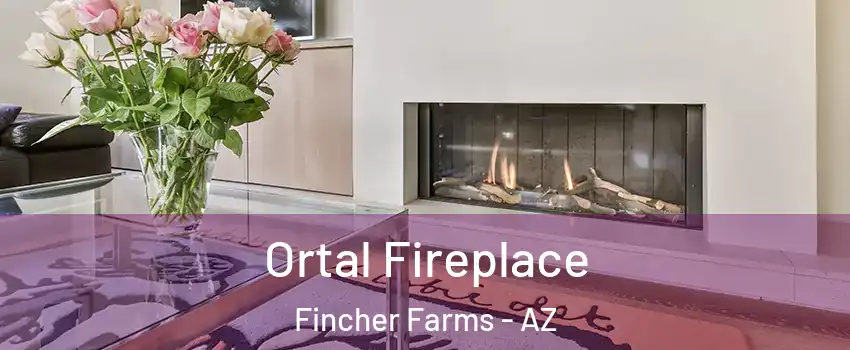 Ortal Fireplace Fincher Farms - AZ