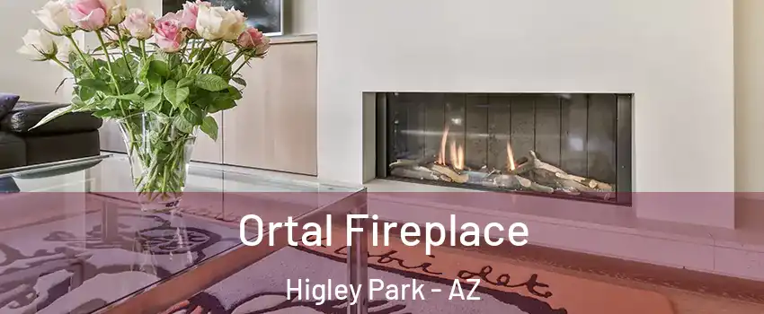 Ortal Fireplace Higley Park - AZ