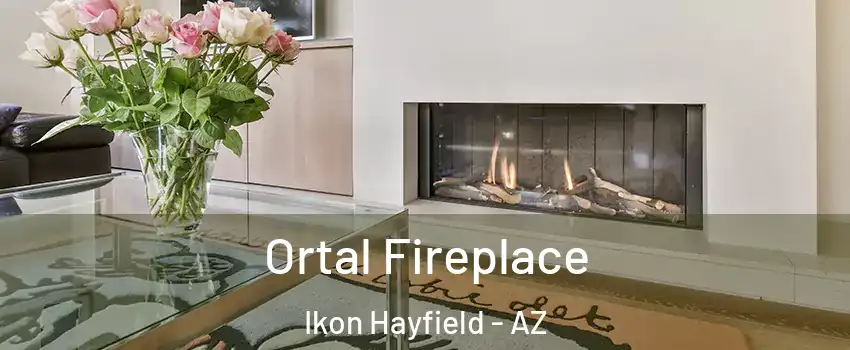 Ortal Fireplace Ikon Hayfield - AZ