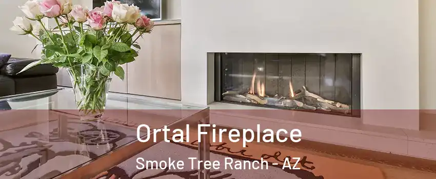 Ortal Fireplace Smoke Tree Ranch - AZ