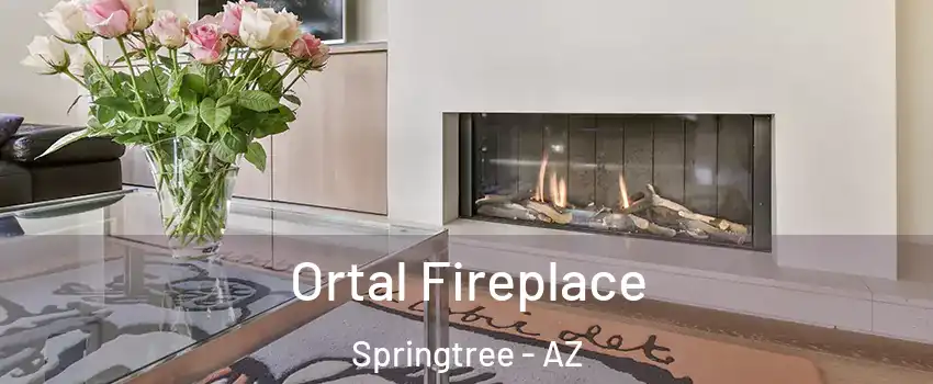 Ortal Fireplace Springtree - AZ