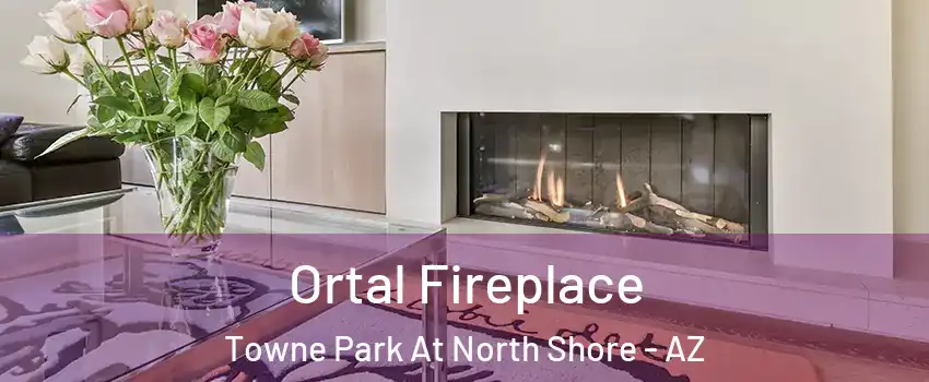 Ortal Fireplace Towne Park At North Shore - AZ