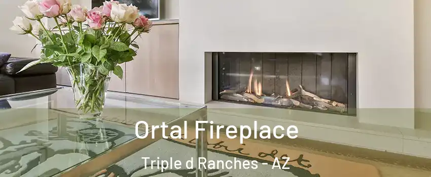 Ortal Fireplace Triple d Ranches - AZ