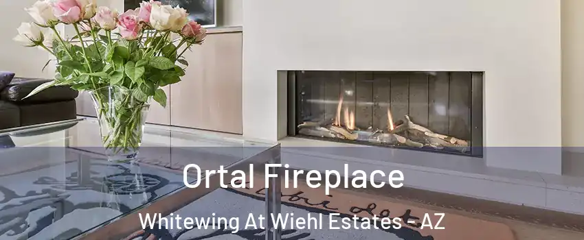 Ortal Fireplace Whitewing At Wiehl Estates - AZ