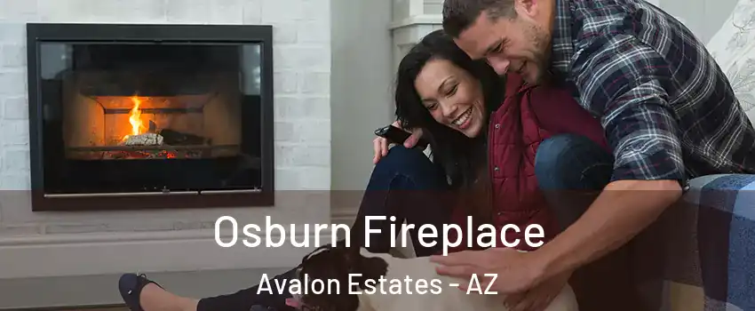 Osburn Fireplace Avalon Estates - AZ