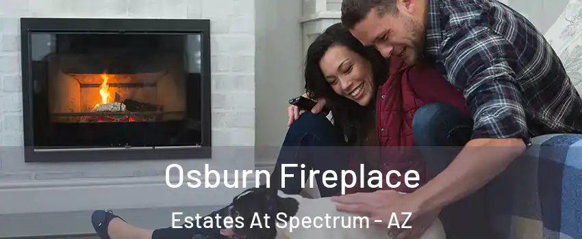 Osburn Fireplace Estates At Spectrum - AZ