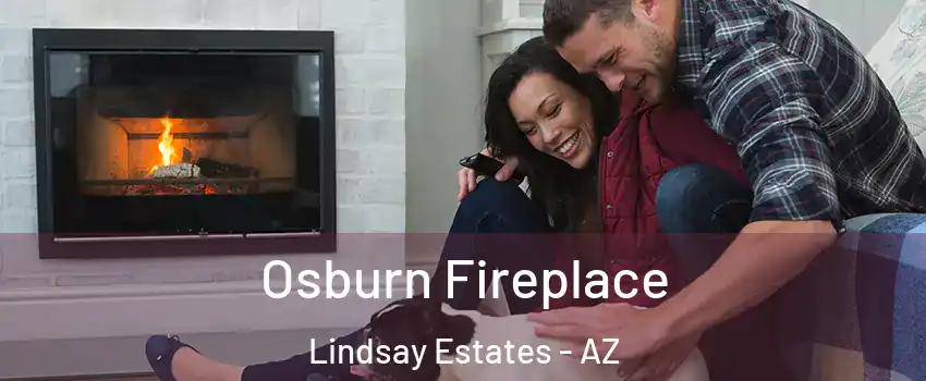 Osburn Fireplace Lindsay Estates - AZ