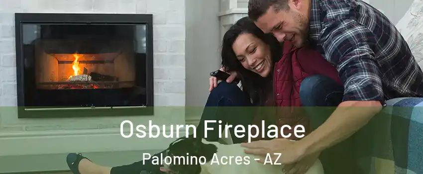 Osburn Fireplace Palomino Acres - AZ