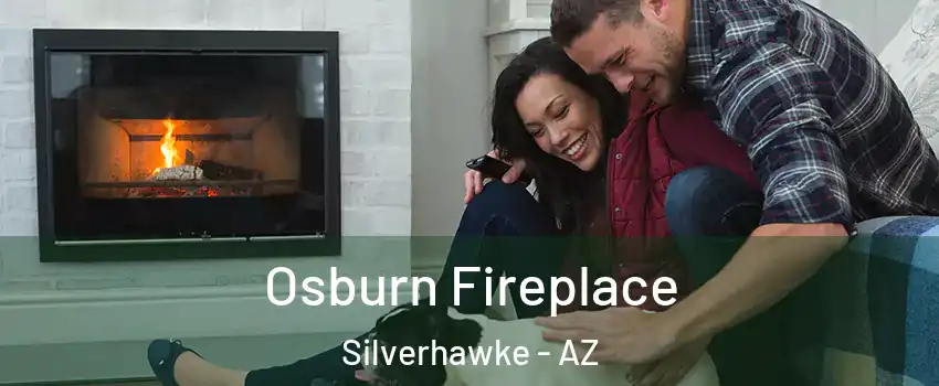 Osburn Fireplace Silverhawke - AZ