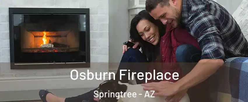 Osburn Fireplace Springtree - AZ