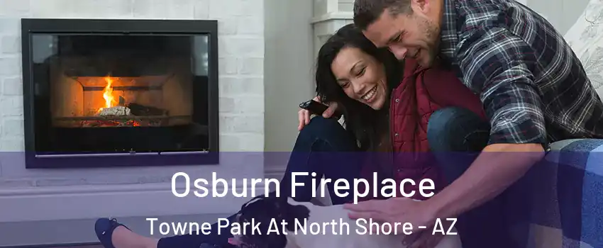 Osburn Fireplace Towne Park At North Shore - AZ