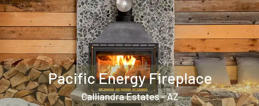 Pacific Energy Fireplace Calliandra Estates - AZ