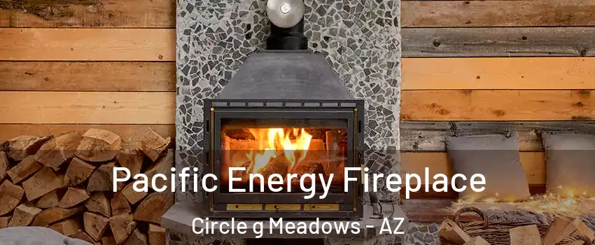 Pacific Energy Fireplace Circle g Meadows - AZ