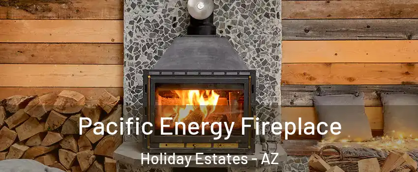 Pacific Energy Fireplace Holiday Estates - AZ